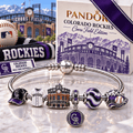 CLRDR Silver Charm Bracelet Set NHVH